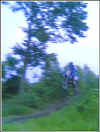 yzjump_small.jpg (3311 bytes)